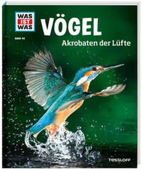 Werdes |  WAS IST WAS Band 40 Vögel. Akrobaten der Lüfte | Buch |  Sack Fachmedien
