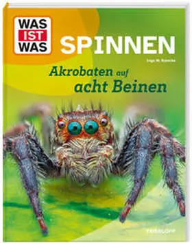 Ramcke |  WAS IST WAS Spinnen. Akrobaten auf acht Beinen | Buch |  Sack Fachmedien