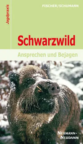 Fischer / Schumann |  Schwarzwild | Buch |  Sack Fachmedien