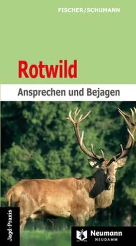 Fischer / Schumann |  Rotwild | Buch |  Sack Fachmedien