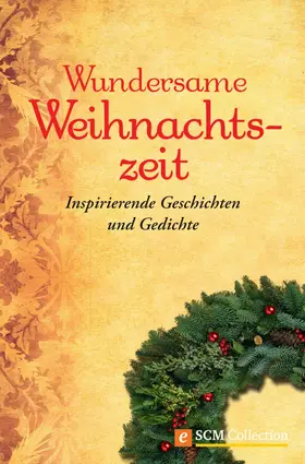 Zapp |  Wundersame Weihnachtszeit | eBook | Sack Fachmedien