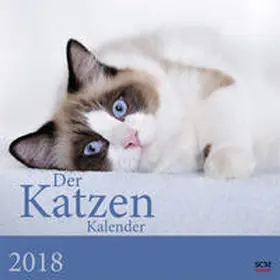 Der Katzenkalender 2018 | Sonstiges | 978-3-7893-4781-8 | www.sack.de