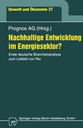 Hofer / Scheelhaase / Wolff |  Hofer, P: Nachhaltige Entwicklung im Energiesektor? | Buch |  Sack Fachmedien