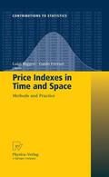 Biggeri / Ferrari |  Price Indexes in Time and Space | Buch |  Sack Fachmedien