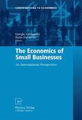 Calcagnini / Favaretto |  Economics of Small Businesses | Buch |  Sack Fachmedien