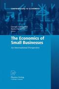 Calcagnini / Favaretto |  Economics of Small Businesses | Buch |  Sack Fachmedien