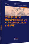 Wirtschaftsprüfungsgesellschaft |  Offenlegung von Finanzinstrumenten und Risikoberichterstattung nach IFRS 7 | Buch |  Sack Fachmedien