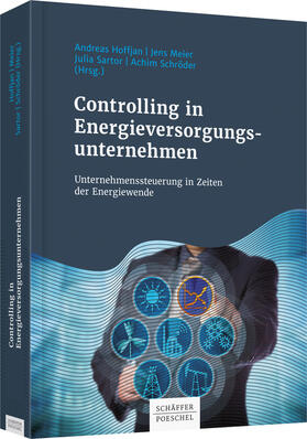 Hoffjan / Meier / Sartor | Controlling in Energieversorgungsunternehmen | Buch | 978-3-7910-4091-2 | sack.de