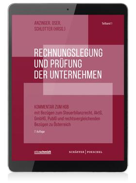Anzinger / Oser / Schlotter |  Rechnungslegung und Prüfung der Unternehmen (Online-Datenbank) | Datenbank |  Sack Fachmedien