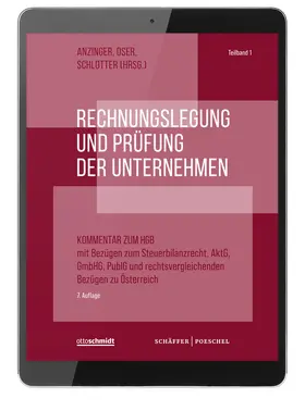 Anzinger / Oser / Schlotter |  Rechnungslegung und Prüfung der Unternehmen (Online-Datenbank) | Datenbank |  Sack Fachmedien