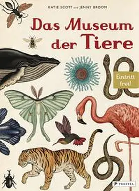Broom / Scott |  Das Museum der Tiere | Buch |  Sack Fachmedien