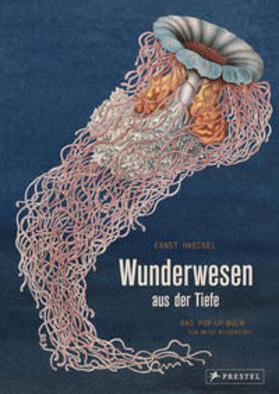Biederstädt / Haeckel | Wunderwesen aus der Tiefe. Ernst Haeckel | Buch | 978-3-7913-7232-7 | sack.de