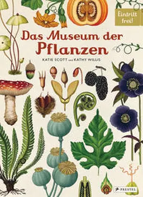 Scott / Willis |  Das Museum der Pflanzen | Buch |  Sack Fachmedien