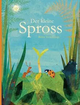 Teckentrup |  Der kleine Spross | Buch |  Sack Fachmedien