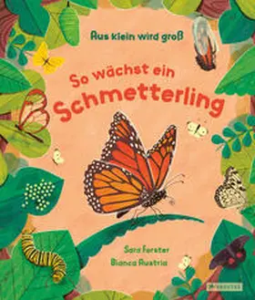 Forster / Austria |  Aus klein wird groß. So wächst ein Schmetterling | Buch |  Sack Fachmedien