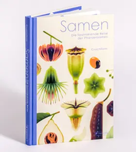 Cruschiform |  Samen | Buch |  Sack Fachmedien