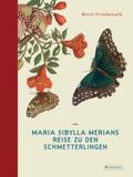 Friedewald |  Maria Sibylla Merians Reise zu den Schmetterlingen | Buch |  Sack Fachmedien