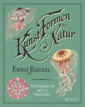 Uthoff | Uthoff, K: Ernst Haeckel: Kunstformen der Natur. Posterbuch | Buch | 978-3-7913-8541-9 | sack.de