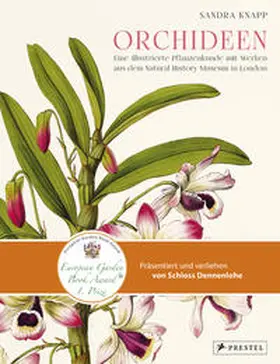 Knapp |  Orchideen | Buch |  Sack Fachmedien