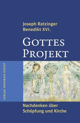 Ratzinger / Kronawetter / Langer |  Gottes Projekt | Buch |  Sack Fachmedien