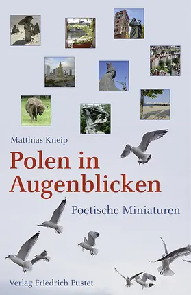 Kneip |  Polen in Augenblicken | Buch |  Sack Fachmedien