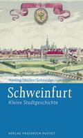Horling / Müller / Schneider |  Schweinfurt | eBook | Sack Fachmedien