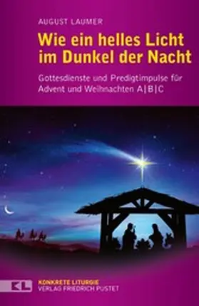 Laumer |  Wie ein helles Licht im Dunkel der Nacht | eBook | Sack Fachmedien