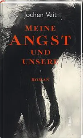 Veit |  Meine Angst und unsere | Buch |  Sack Fachmedien