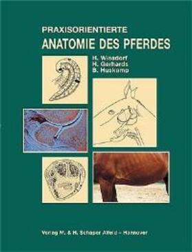 Wißdor / Gerhards / Huskamp | Praxisorientierte Anatomie und Propädeutik des Pferdes | Buch | 978-3-7944-0198-7 | sack.de