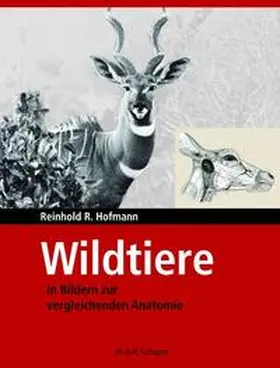 Hofmann | Wildtiere in Bildern zur Vergleichenden Anatomie | Buch | 978-3-7944-0214-4 | sack.de