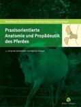 Gerhards / Wissdorf / Huskamp |  Praxisorientierte Anatomie und Propädeutik des Pferdes | Buch |  Sack Fachmedien