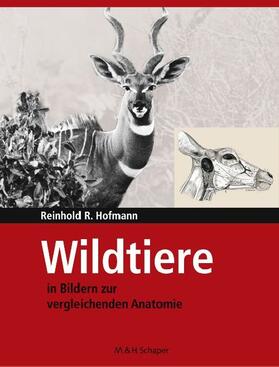 Hofmann | Wildtiere in Bildern zur Vergleichenden Anatomie | E-Book | sack.de