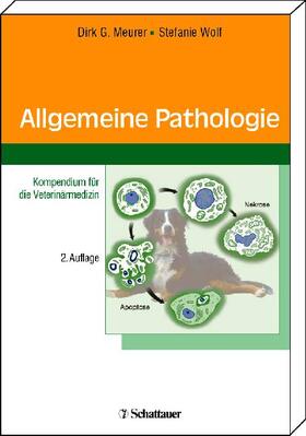 Meurer / Wolf | Allgemeine Pathologie | Buch | 978-3-7945-2459-4 | sack.de
