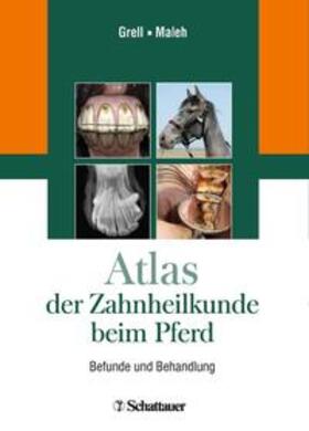 Grell / Maleh | Atlas der Zahnheilkunde beim Pferd | Buch | 978-3-7945-2693-2 | sack.de