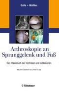 Galla / Walther |  Arthroskopie an Sprunggelenk und Fuß | Buch |  Sack Fachmedien