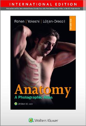 Rohen / Yokochi / Lütjen-Drecoll | Color Atlas of Anatomy - international edition | Buch | 978-3-7945-2982-7 | sack.de