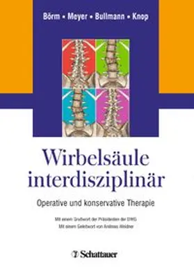 Börm / Meyer / Bullmann | Wirbelsäule interdisziplinär | Buch | 978-3-7945-3092-2 | www.sack.de