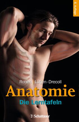 Rohen / Lütjen-Drecoll | Anatomie | E-Book | sack.de