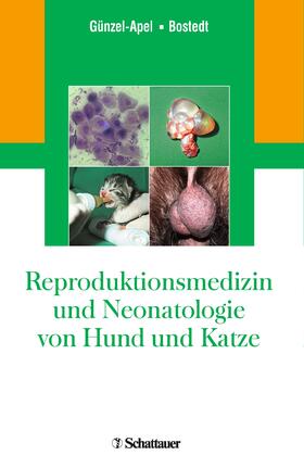 Günzel-Apel / Bostedt | Reproduktionsmedizin und Neonatologie von Hund und Katze | E-Book | sack.de