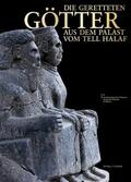 Cholidis / Martin |  Die geretteten Götter aus dem Palast vom Tell Halaf | Buch |  Sack Fachmedien