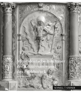 Schulze / Rüber-Schütte | Mitteldeutsche Bildhauer der Renaissance und des Frühbarock | Buch | 978-3-7954-2881-5 | sack.de