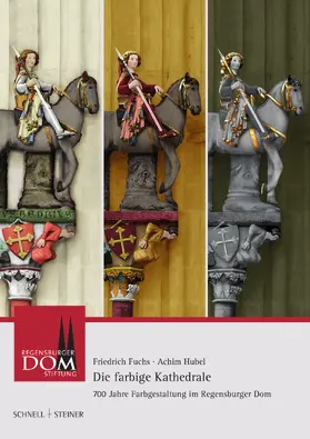 Fuchs / Hubel / Eißing | Die farbige Kathedrale | Buch | 978-3-7954-3095-5 | sack.de