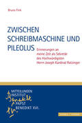 Fink |  Zwischen Schreibmaschine und Pileolus | Buch |  Sack Fachmedien