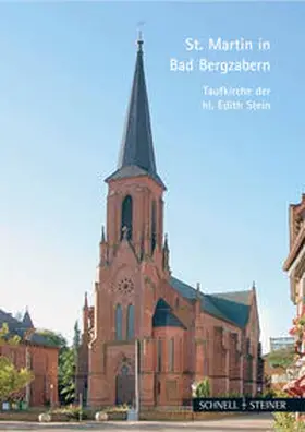 Höckelsberger | Bad Bergzabern | Buch | 978-3-7954-8057-8 | sack.de