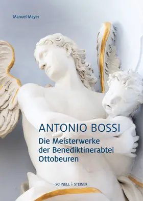 Manuel Mayer |  Antonio Bossi | Buch |  Sack Fachmedien