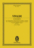 Vivaldi / Birtel |  Concerto G minor | eBook | Sack Fachmedien