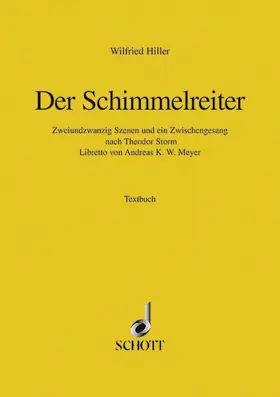 Der Schimmelreiter | Buch |  Sack Fachmedien