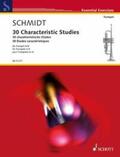 Schmidt |  30 charakteristische Studien | Sonstiges |  Sack Fachmedien