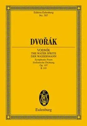 Vodník - Der Wassermann | Sonstiges | 978-3-7957-6108-0 | www.sack.de