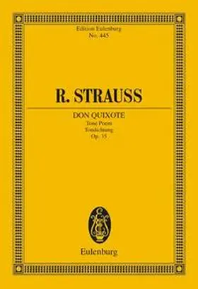  Don Quixote | Sonstiges |  Sack Fachmedien